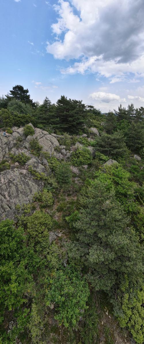 DJI_4554.JPG